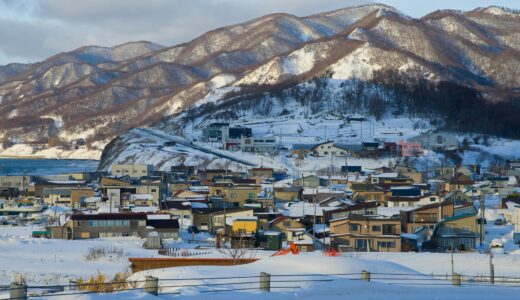 【大人気】札幌でおすすめのトリミングサロン3選！！！【かわいい姿で雪国をお散歩したいわん🐶】